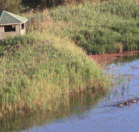 Spring Creek Bird Hide - Accommodation Bookings