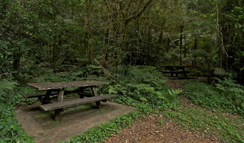 Brindle Creek Picnic Area - Accommodation Bookings 2