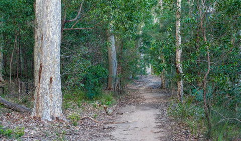 Delta Track - Accommodation Bookings 0