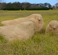 Unreal Rocks Statue Gallery - Accommodation Bookings