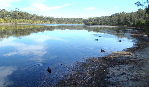Conjola National Park - Accommodation Bookings 1