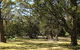 Seven Mile Beach National Park - thumb 3