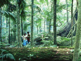 Binna Burra QLD Accommodation Bookings