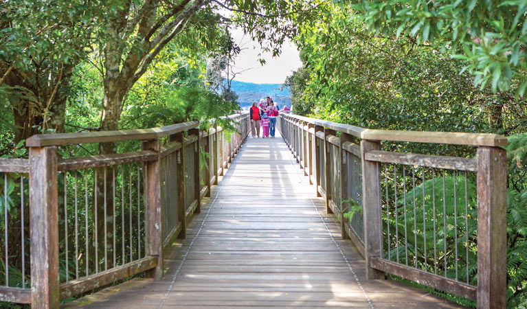 Dorrigo Mountain NSW Accommodation Bookings