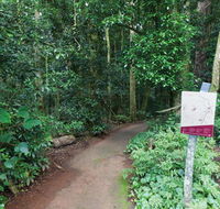 Walk with the Birds boardwalk - Accommodation Bookings