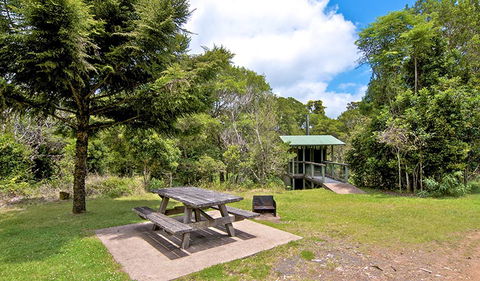 Antarctic Beech Picnic Area - Accommodation Bookings 1