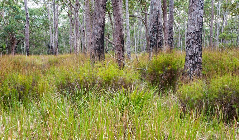 Mount Kingiman ACT Accommodation Bookings