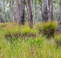 Narrawallee Inlet walking track - Accommodation Bookings