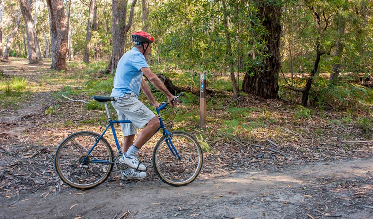 Bendalong NSW Accommodation Bookings