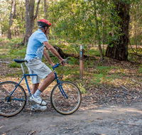 Monument Beach ride from Bendalong - Accommodation Bookings