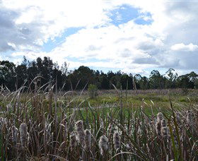 Jabiru Geenbeebeinga Wetlands - Accommodation Bookings 1