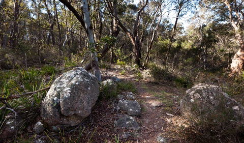Wadbilliga National Park - Accommodation Bookings 2