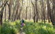 Nerindillah Lagoon Walking Track - thumb 3