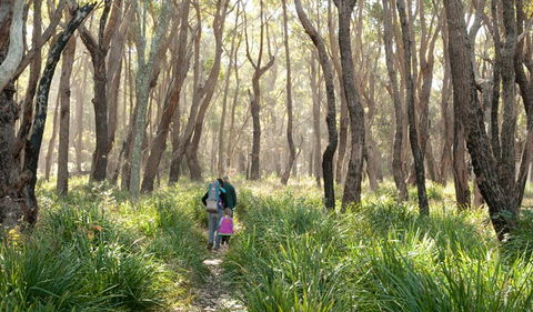 Nerindillah Lagoon Walking Track - Accommodation Bookings 3
