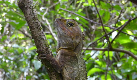 Boorganna Nature Reserve - Accommodation Bookings 3