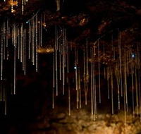 Tamborine Mountain Glow Worm Caves - Accommodation Bookings