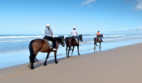 Worimi National Park - Accommodation Bookings 1