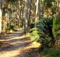 Square Head track 2 - Accommodation Bookings