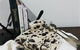 Fudge Factory At Tilba Treasures Of Ulladulla - thumb 1