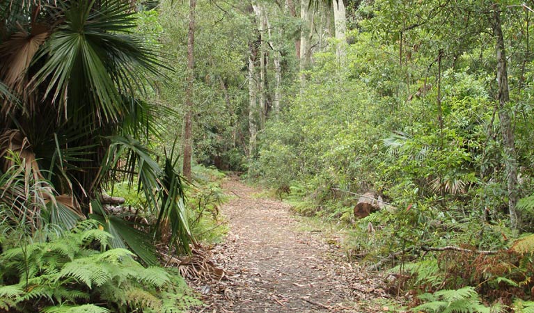 East Lynne NSW Accommodation Bookings