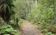 Lake Walking Track - thumb 0