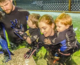 Birubi Point NSW Accommodation Bookings