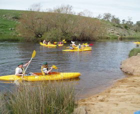Bombala Platypus Reserve - Accommodation Bookings 1