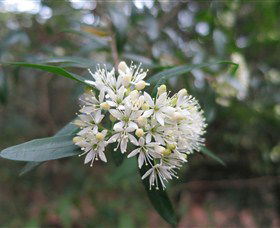Booderee National Park Botanic Gardens - Accommodation Bookings 1