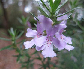 Booderee National Park Botanic Gardens - Accommodation Bookings 5