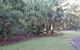 Booderee National Park Botanic Gardens - thumb 8