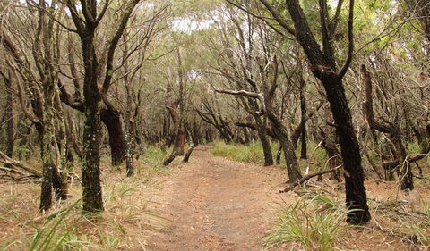 Pretty Beach To Snapper Point Walking Track - Accommodation Bookings 0