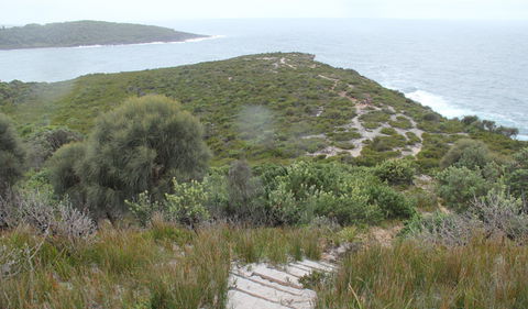 Pretty Beach To Snapper Point Walking Track - Accommodation Bookings 2