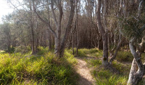 Murramarang Aboriginal Area Walking Track - Accommodation Bookings 1