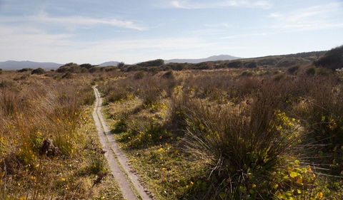 Murramarang Aboriginal Area Walking Track - Accommodation Bookings 2