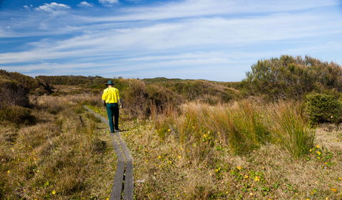 Murramarang Aboriginal Area Walking Track - Accommodation Bookings 3