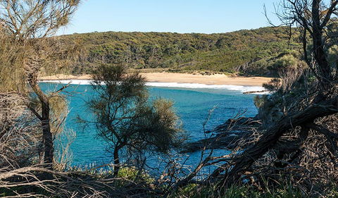 Myrtle Beach Walking Track - Accommodation Bookings 2