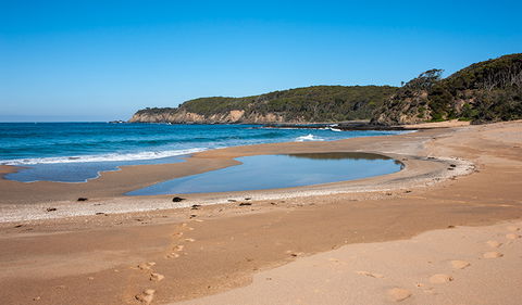Myrtle Beach Walking Track - Accommodation Bookings 3