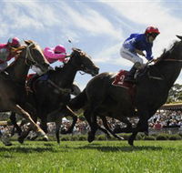 Moruya Racecourse - Accommodation Bookings