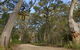 North Head Lookout - thumb 1