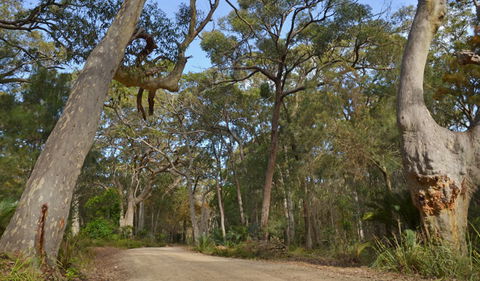 North Head Lookout - Accommodation Bookings 1