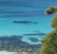 Jervis Bay Marine Park - Accommodation Bookings