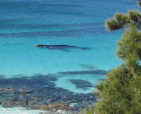 Jervis Bay Marine Park - Accommodation Bookings 0