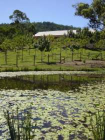 Mount Nathan Winery - Accommodation Bookings 2