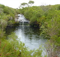 Booderee National Park Green Patch and Telegraph Creek Walking Tracks - Accommodation Bookings