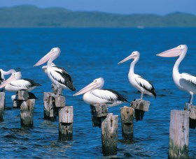 Walpole-Nornalup Inlets - Accommodation Bookings 1