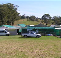 Tinonee Orchid Nursery - Accommodation Bookings