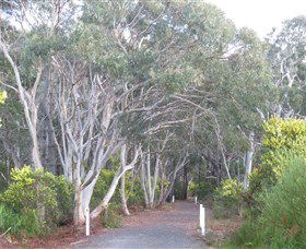 Booderee National Park: Munyunga Waraga Dhugan Walking Trail - Accommodation Bookings 3