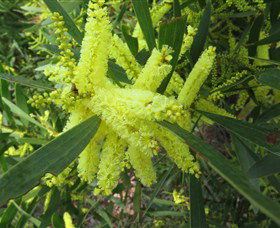Booderee National Park: Munyunga Waraga Dhugan Walking Trail - Accommodation Bookings 1