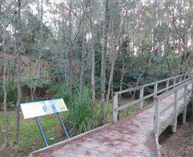 Booderee National Park: Munyunga Waraga Dhugan Walking Trail - Accommodation Bookings 8