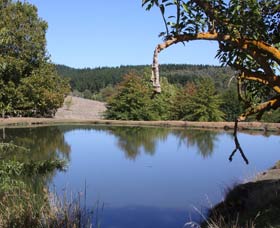 Oak Grove Walk, Balingup - Accommodation Bookings 0